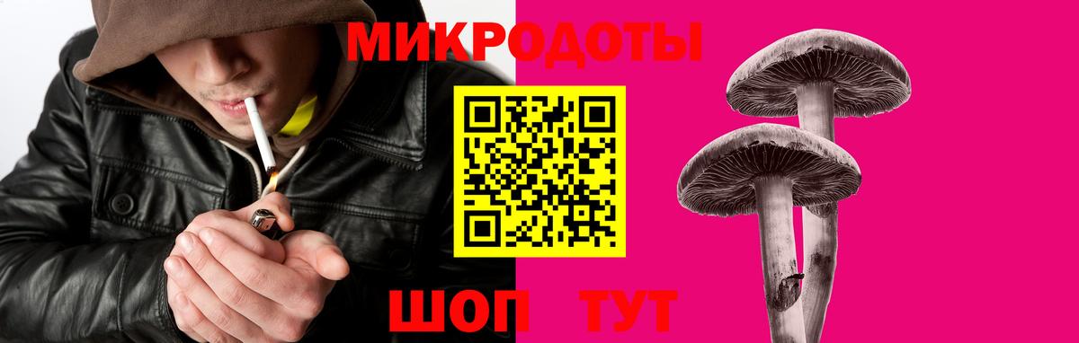 Псилоцибиновые грибы Psilocybine cubensis  где можно купить   Псилоцибиновые грибы GOLDEN TEACHER  Кирово-Чепецк  Вход с VPN 